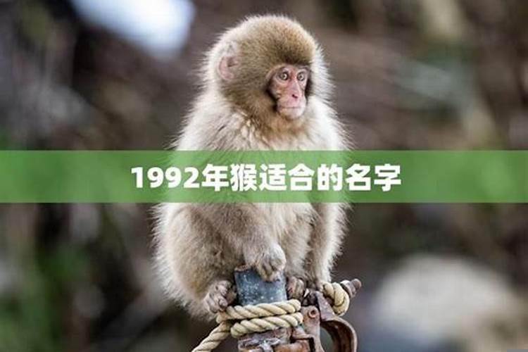 1992年属猴的命里有两大劫