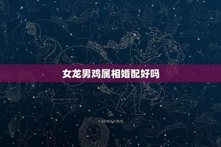二婚属鸡男与二婚属龙女相配吗好吗