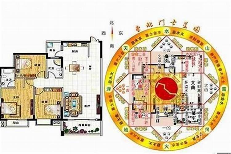 办公室花的摆放风水位置