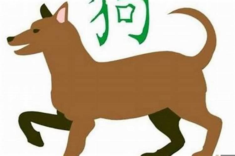 属狗跟属龙属相合不合