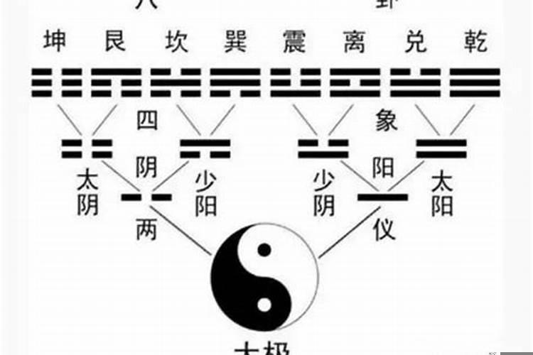 单数为阳双数为阴是这样子吗