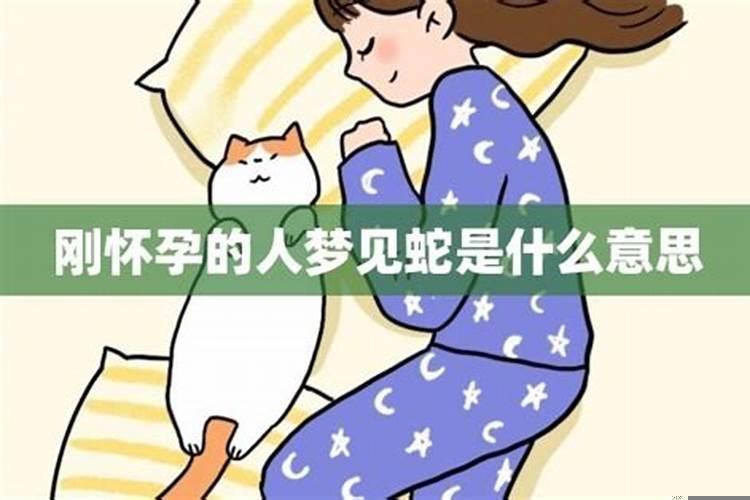 怀孕的女人梦见蛇预示着什么