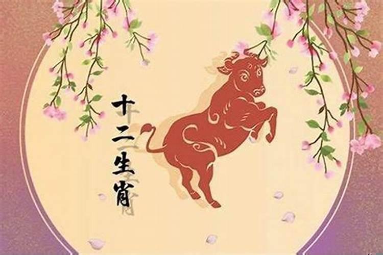 今期生肖马来开是什么