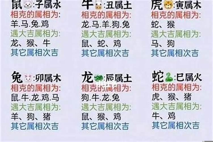 属相相克一定不好吗