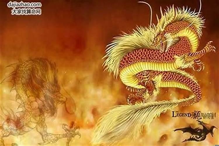 属龙的命运好吗