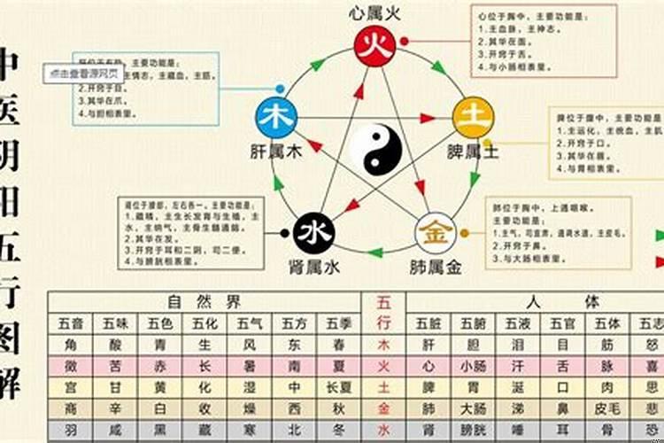 五行的主要特性