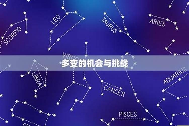双子座在2025年的运势