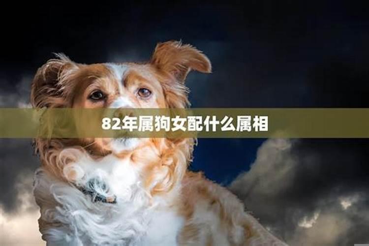 82年属什么的最佳配偶