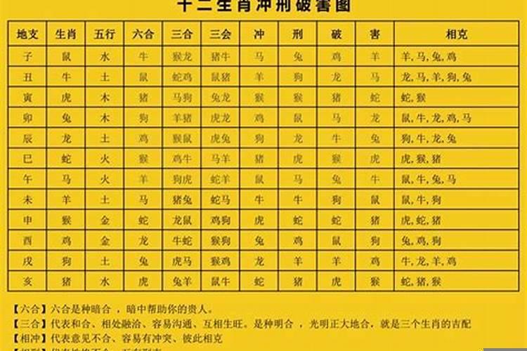 相刑生肖怎么化解
