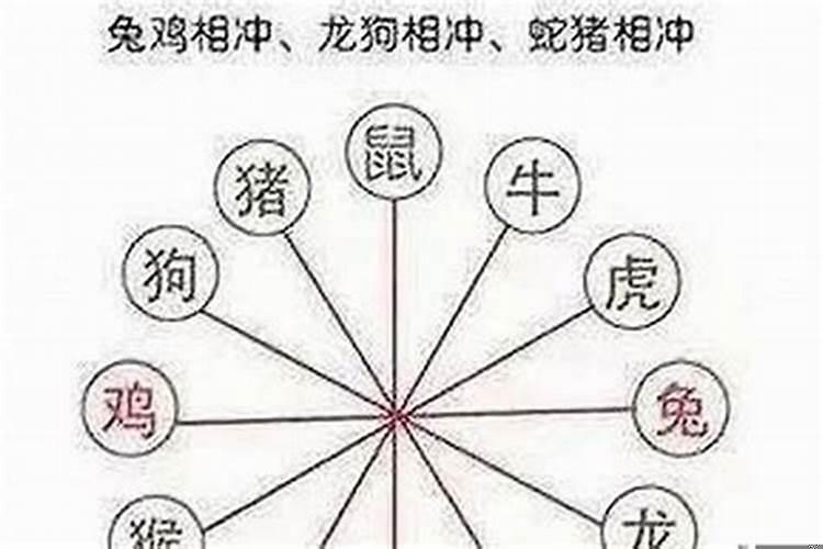 相刑生肖怎么化解