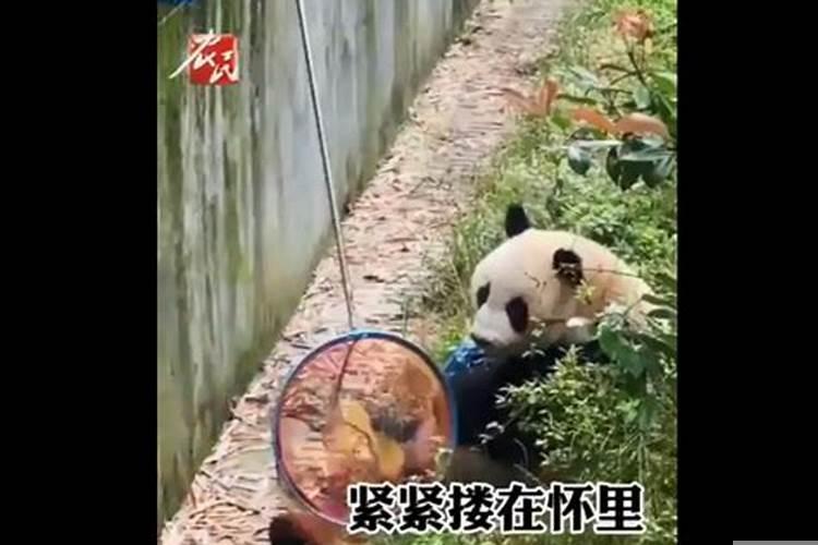 梦到被男的搂在怀里很真实