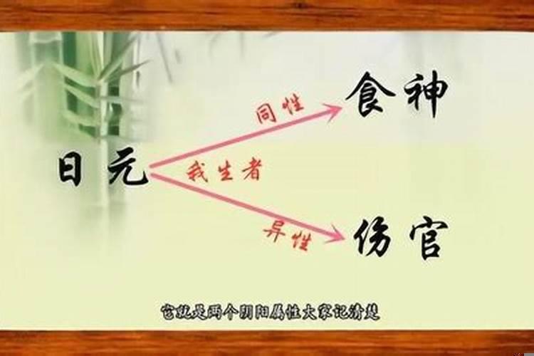 什么叫做伤官