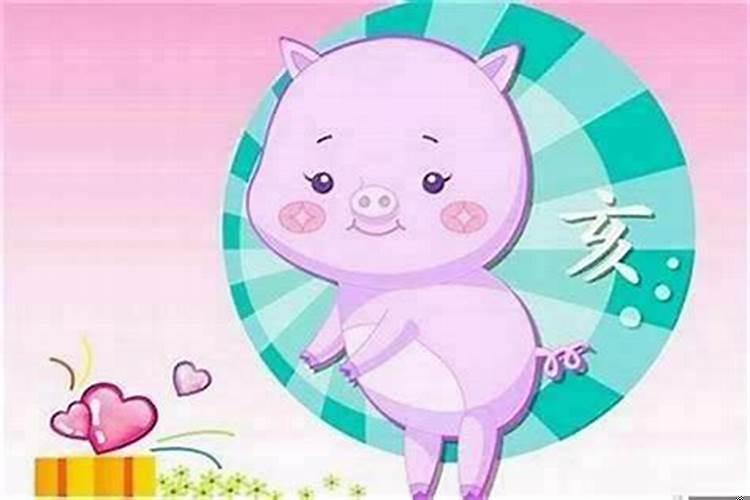 属猪与哪些生肖相冲