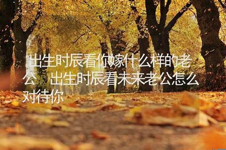 八字测会嫁给什么样的人