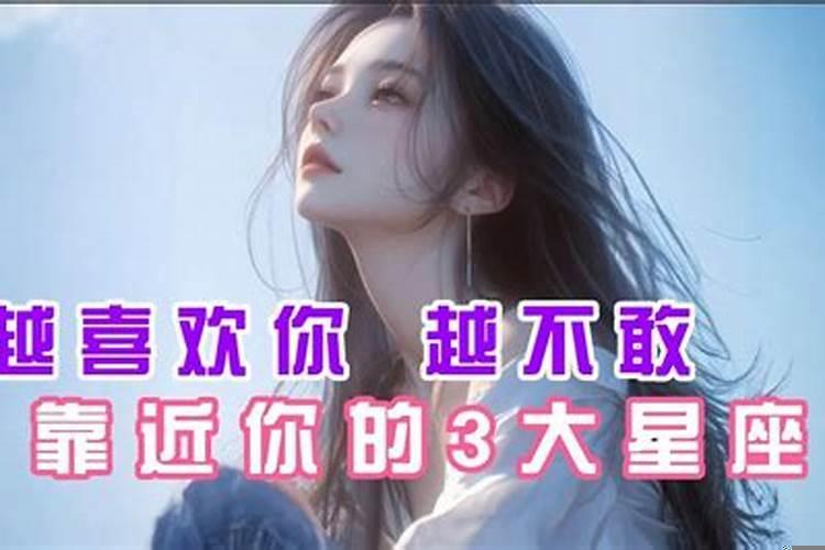 你越怂他越得意的星座