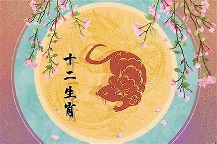 属鼠的今年用什么颜色旺财