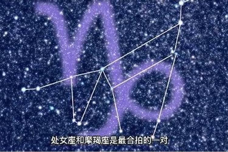 处女座特长是什么