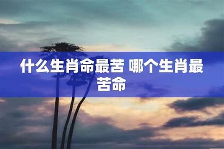 哪个生肖命最苦