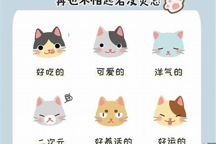 五种吉祥水果初一十五