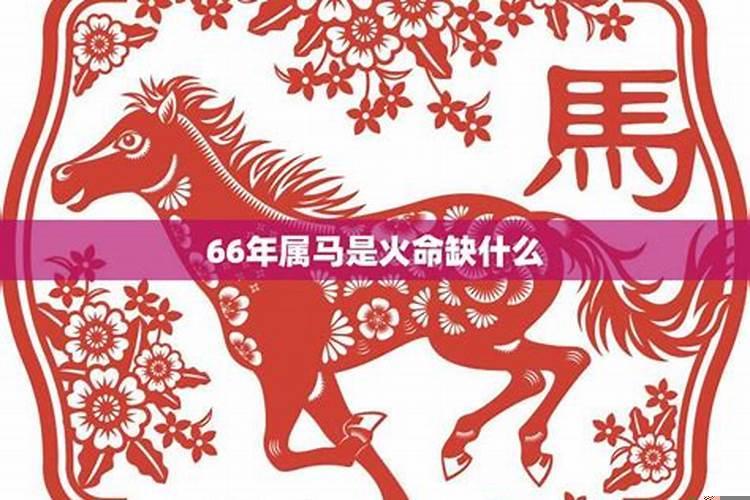 66年属什么生肖今年多少岁2025