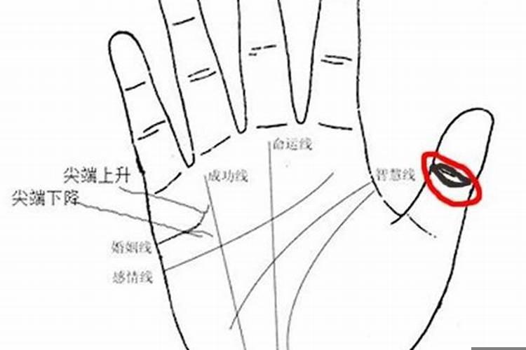 女人手相有福气的手相