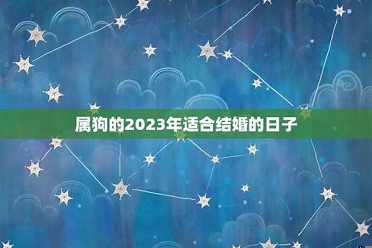 2025年5月适合属狗结婚吉日