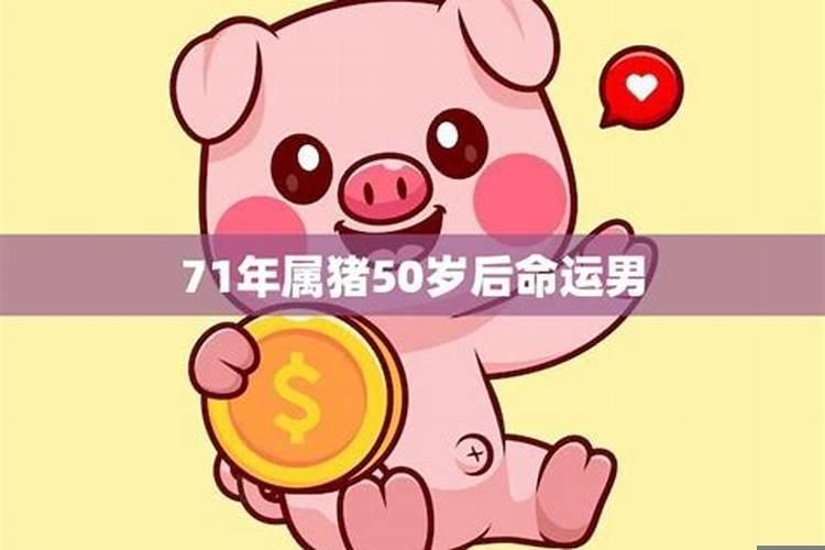 71年生肖猪49岁的灾难