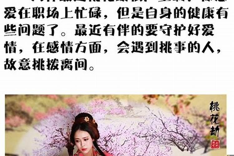 十二星座的情劫