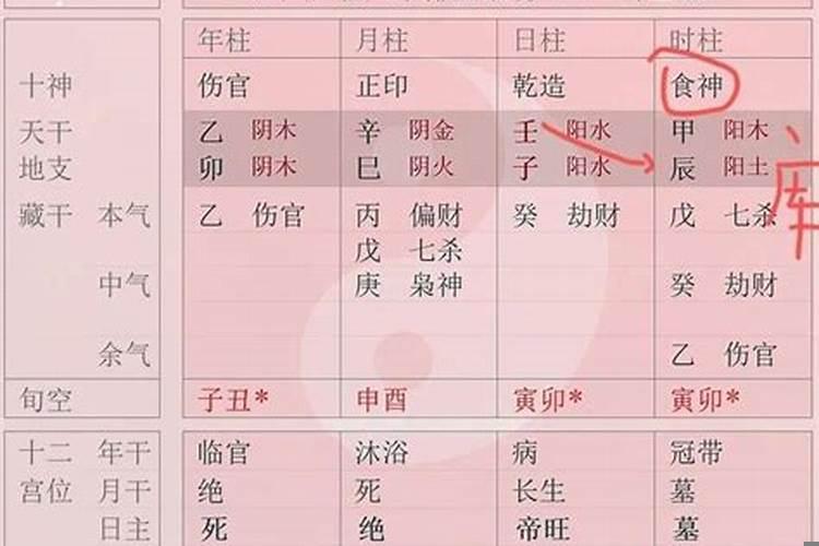 天干是正官地支是食神是什么意思