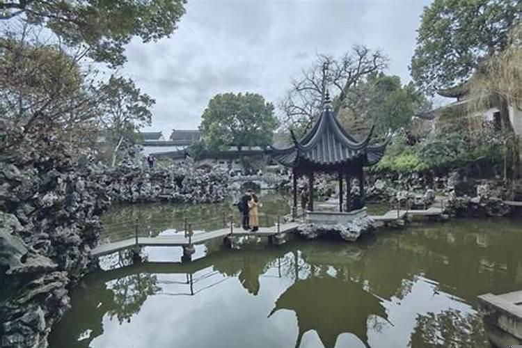 狮子有什么特别之处