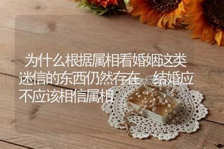 结婚应不应该看属相
