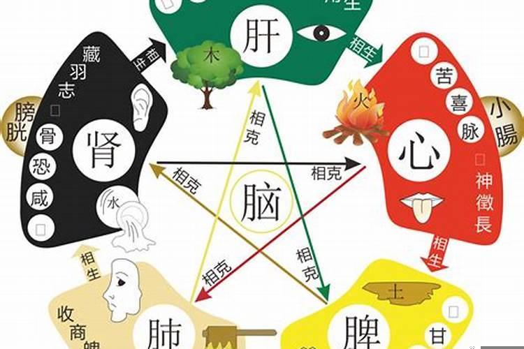 什么是五行的相生与相克