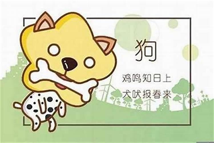 94年属狗的女人旺夫吗