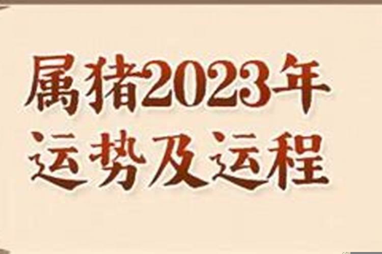 2020年71年属猪人运势