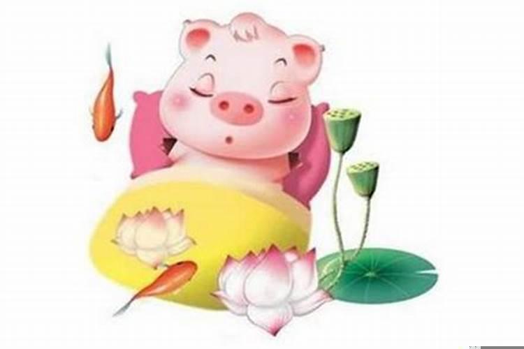 属狗的和属猪的婚姻