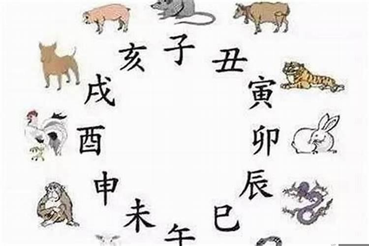 属相是从哪一天开始算