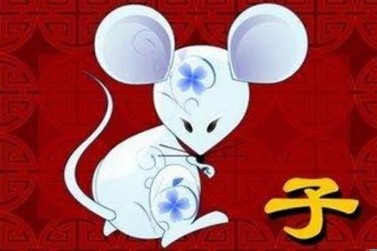 属鼠的和哪个属相相克