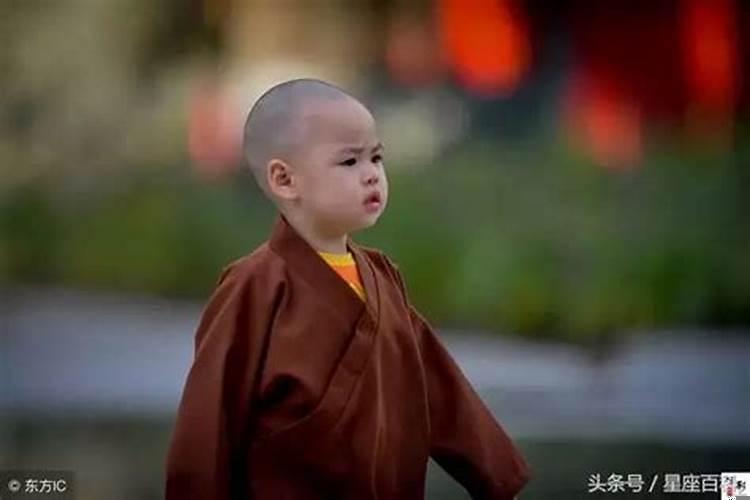 狮子男看颜值吗