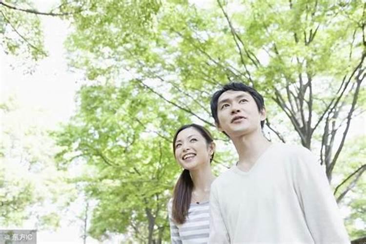 狗和羊相配婚姻如何旺财