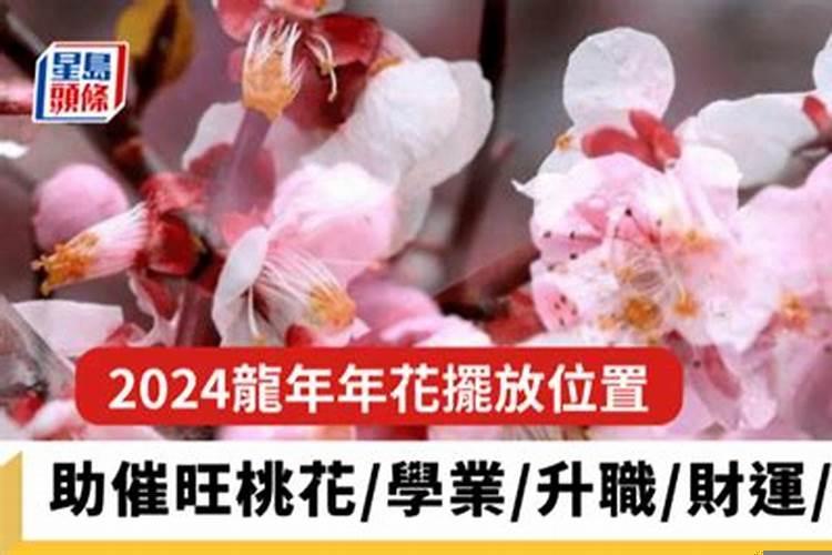 富贵竹摆放几支风水好