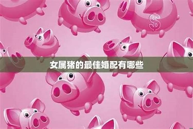 属猪女生的和什么属相最配婚