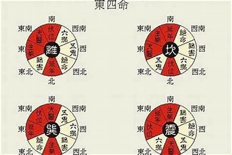 怎么计算东四命和西四命