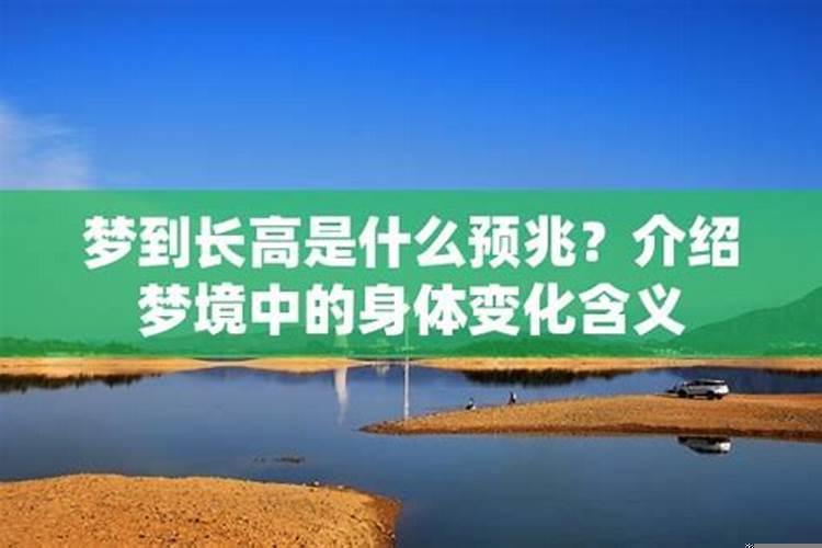 梦到什么预示长高