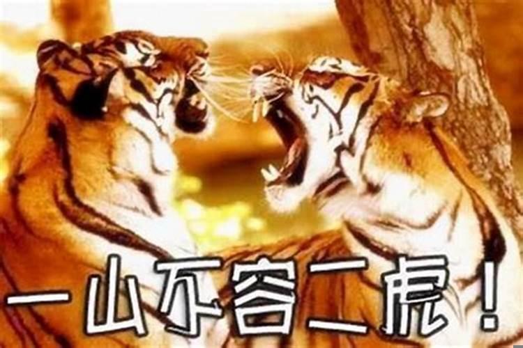 2022年属虎生宝宝好吗