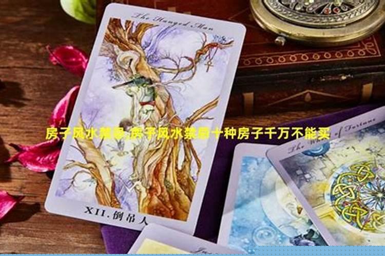 买房子风水学