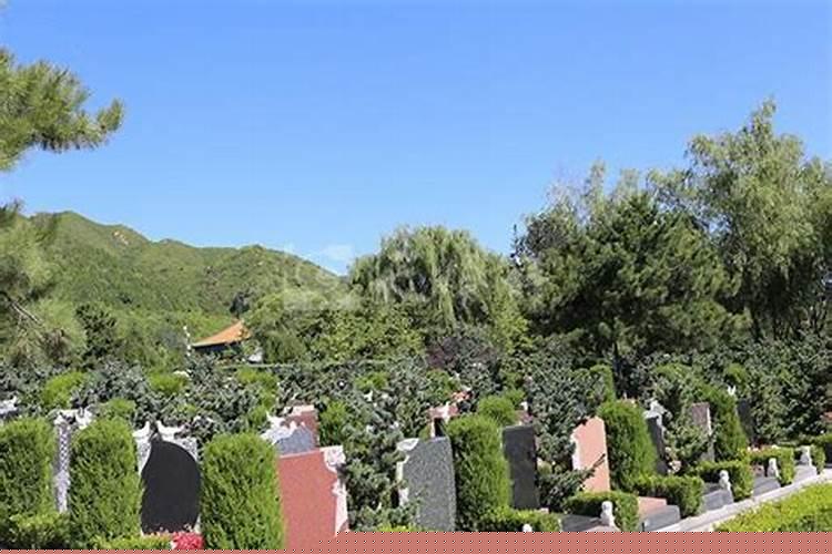 为什么人死了要买墓地