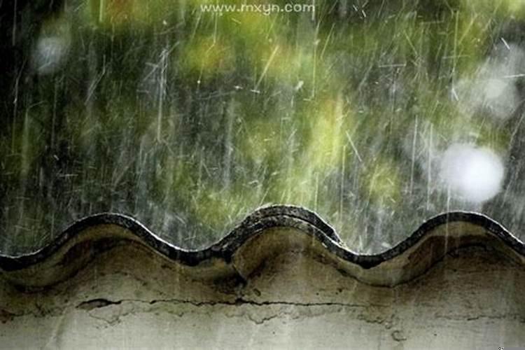 梦到下了暴雨