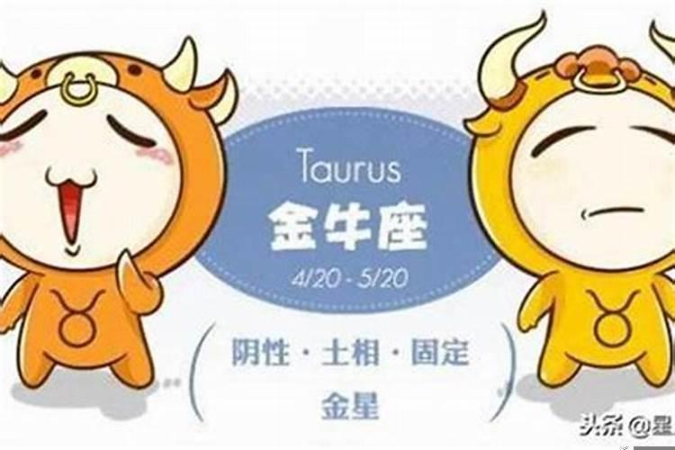 金牛座的暴躁