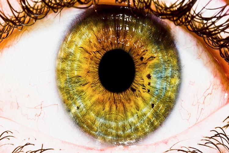 梦到水里游泳什么意思