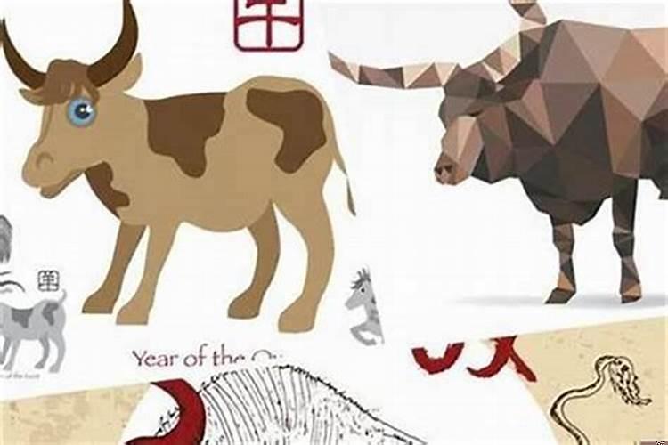 羊与牛属相婚配合不合